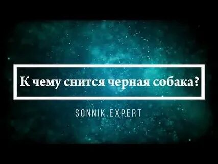 Сонник эксперт