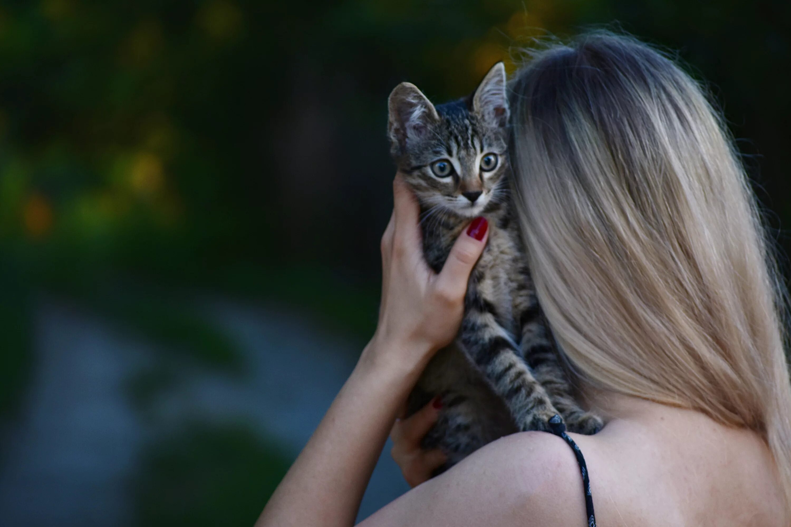 Девушка с котенком. Кошка на руках. Девушка с кошкой на руках. Котенок на руках. Hairy liking