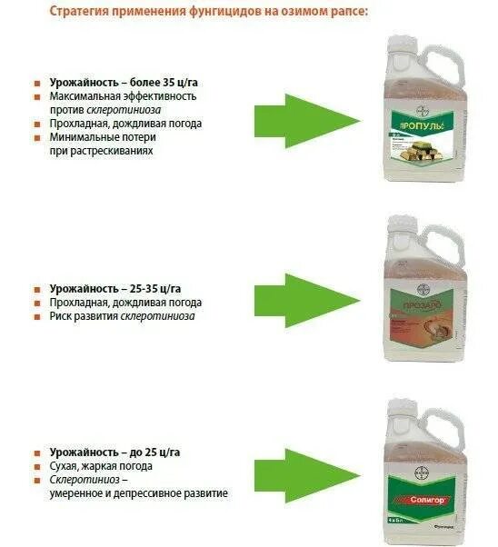Фунгициды применение. Солигор фунгицид. Солигор средство защиты растений. Фунгициды протравители список.