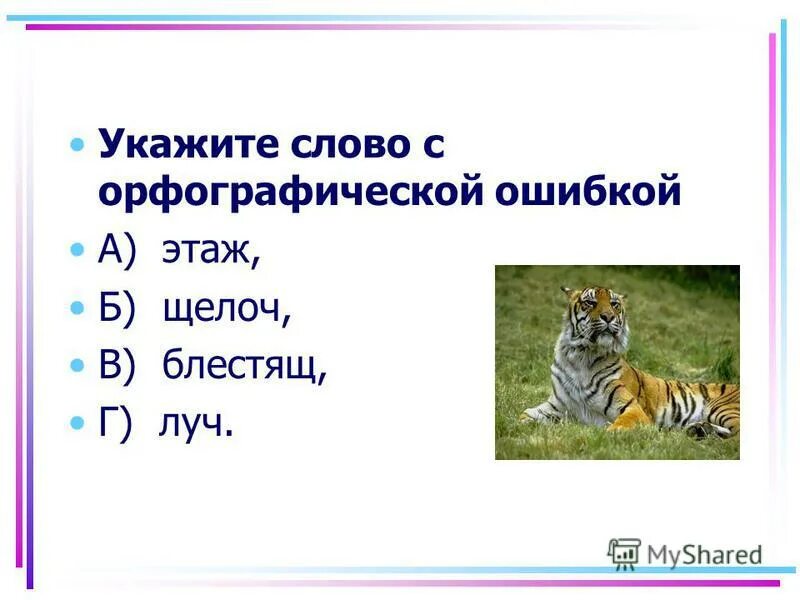 Укажите слово в котором ь. Слова с орфографическими ошибками. Найдите глаголы с орфографической ошибкой стоишь стелишь красишт.