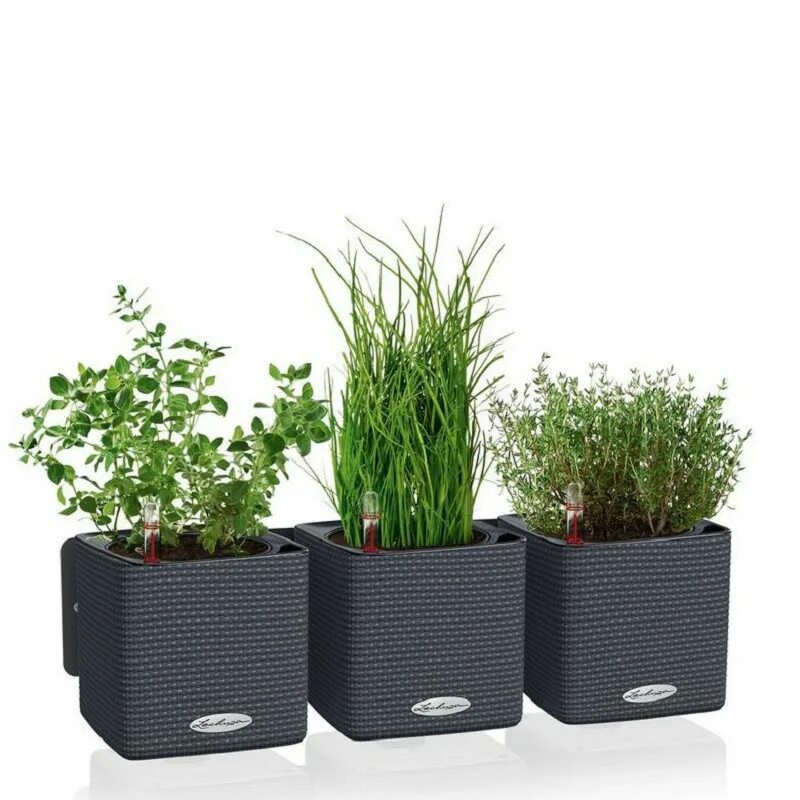 Горшок для растений. Кашпо Lechuza Green Wall Home Kit. Мирт Lechuza. Кашпо Лечуза Lechuza. Лечуза подвесное кашпо.