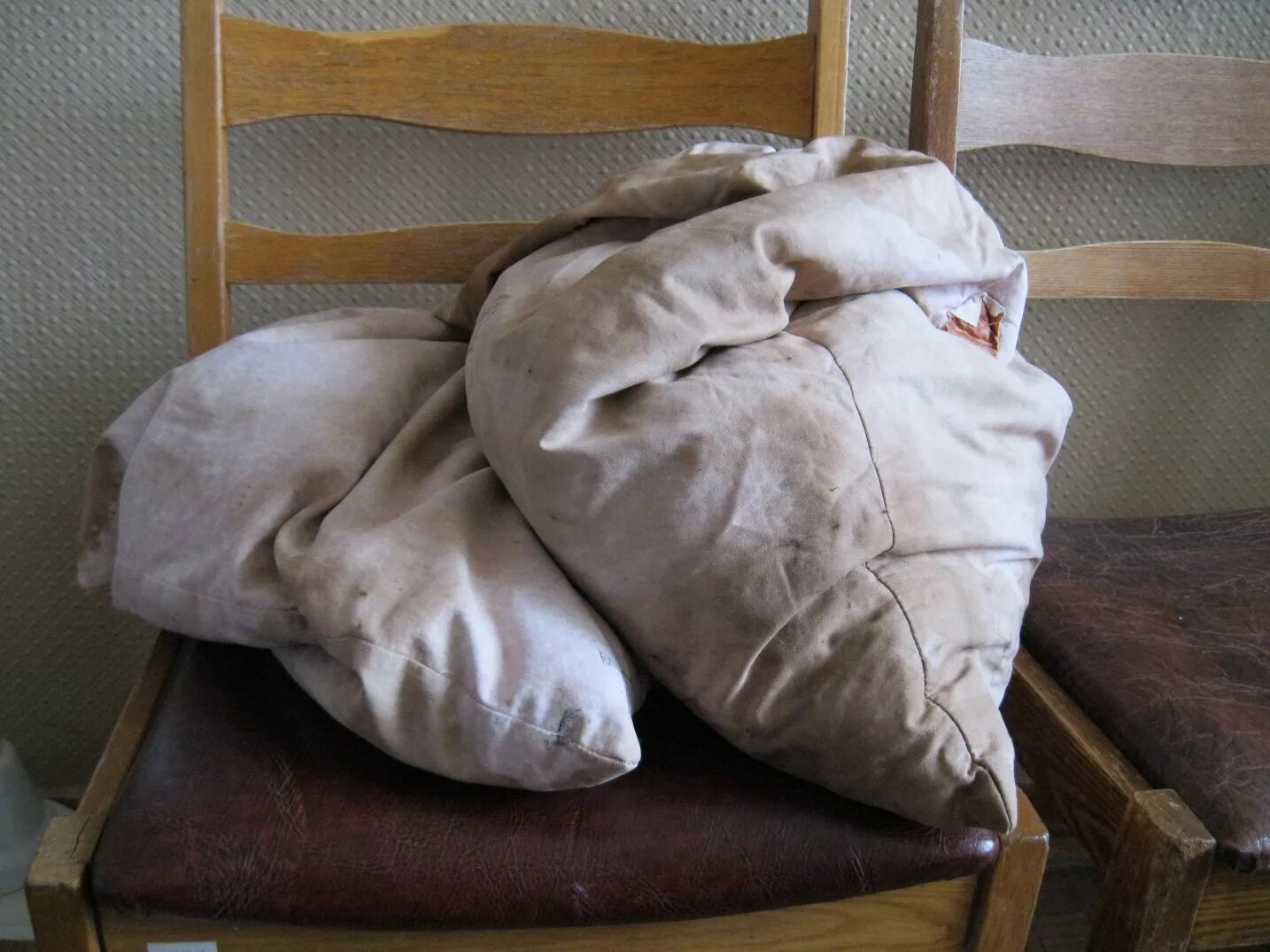 Воняют подушки. Старая подушка. Старые перьевые подушки. Грязная подушка. Одеяло и подушка.