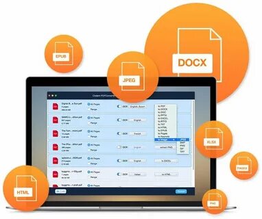 Docx pdf html
