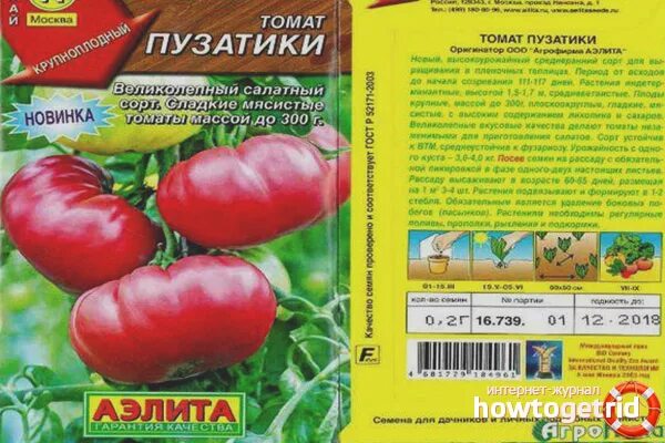 Помидоры сорт хата