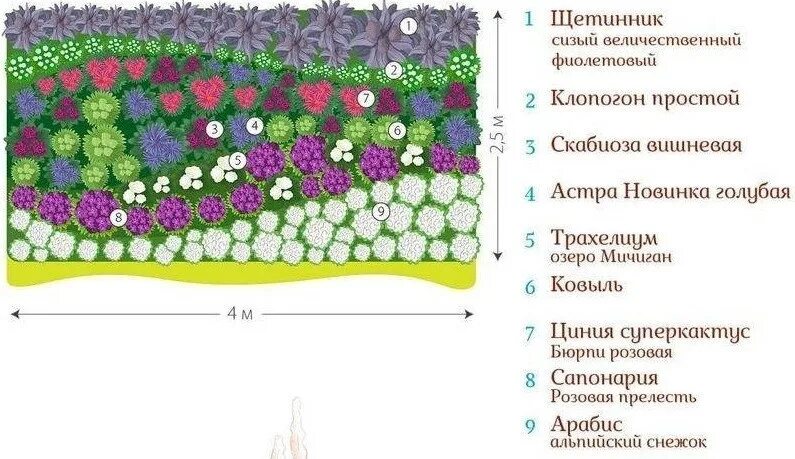 Высота цветника. Клумбы геометрической формы. Высота цветника. Высота цветника. Миксбордер из хвойных и многолетников схемы.