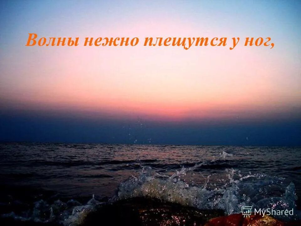 прабабушка наша вселенная книга. море брызги солнце. восход на море. солнце тонуло в море песня. тонущее солнце.