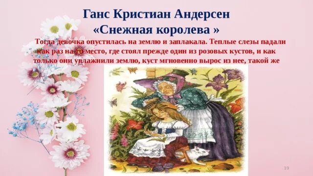 Розовый куст андерсен