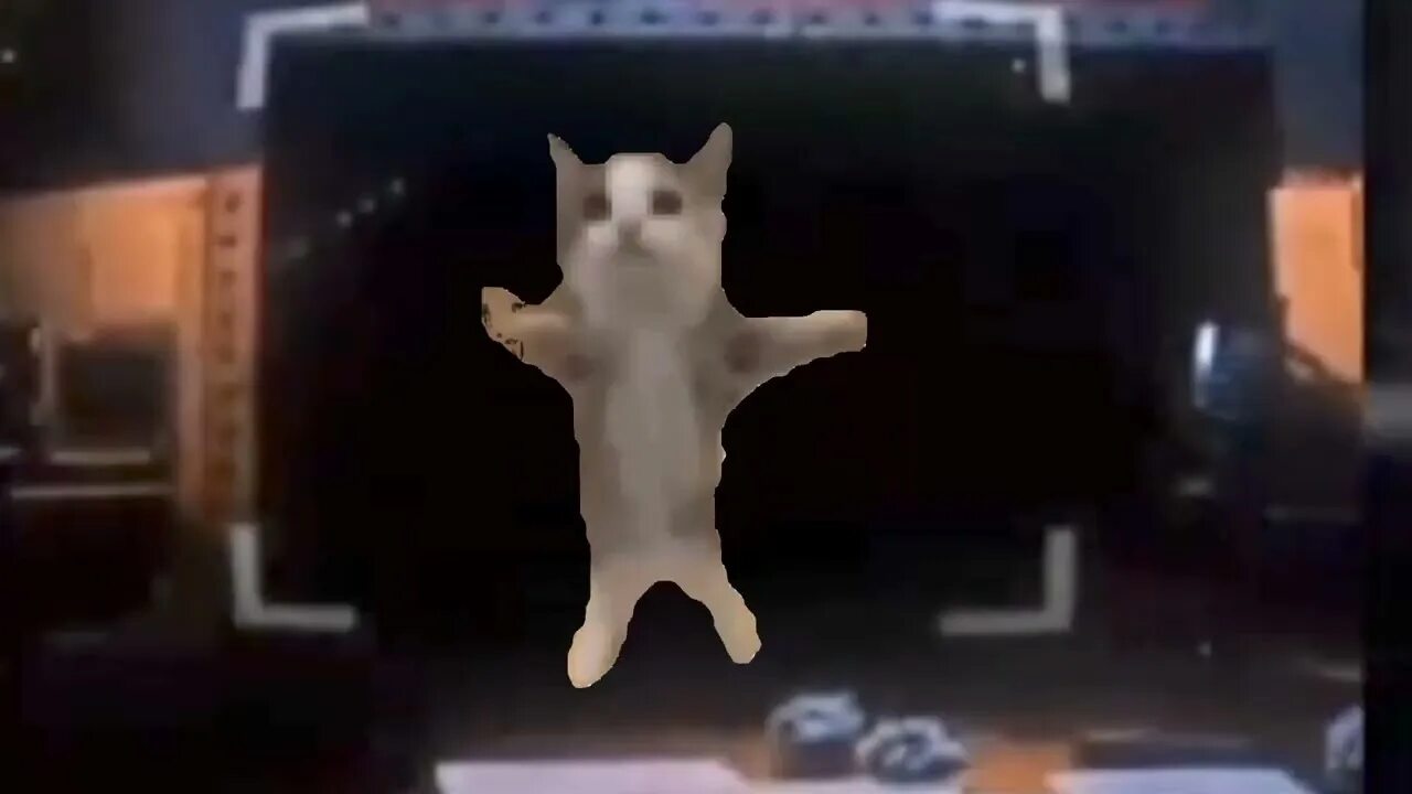 Кот флексит под. Кот флексит. кот флексит головой. кот флексит мем. 3 кота мем.