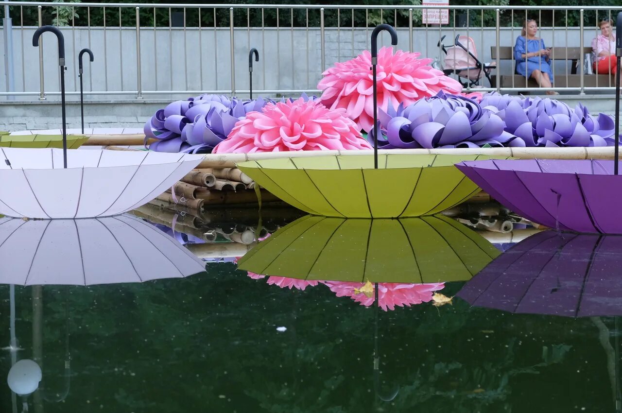 Воронежский международный фестиваль садов и цветов город-сад. Праздник город сад. Парк динамо воронеж город сад. Воронеж сад фестиваль. Праздник город сад.