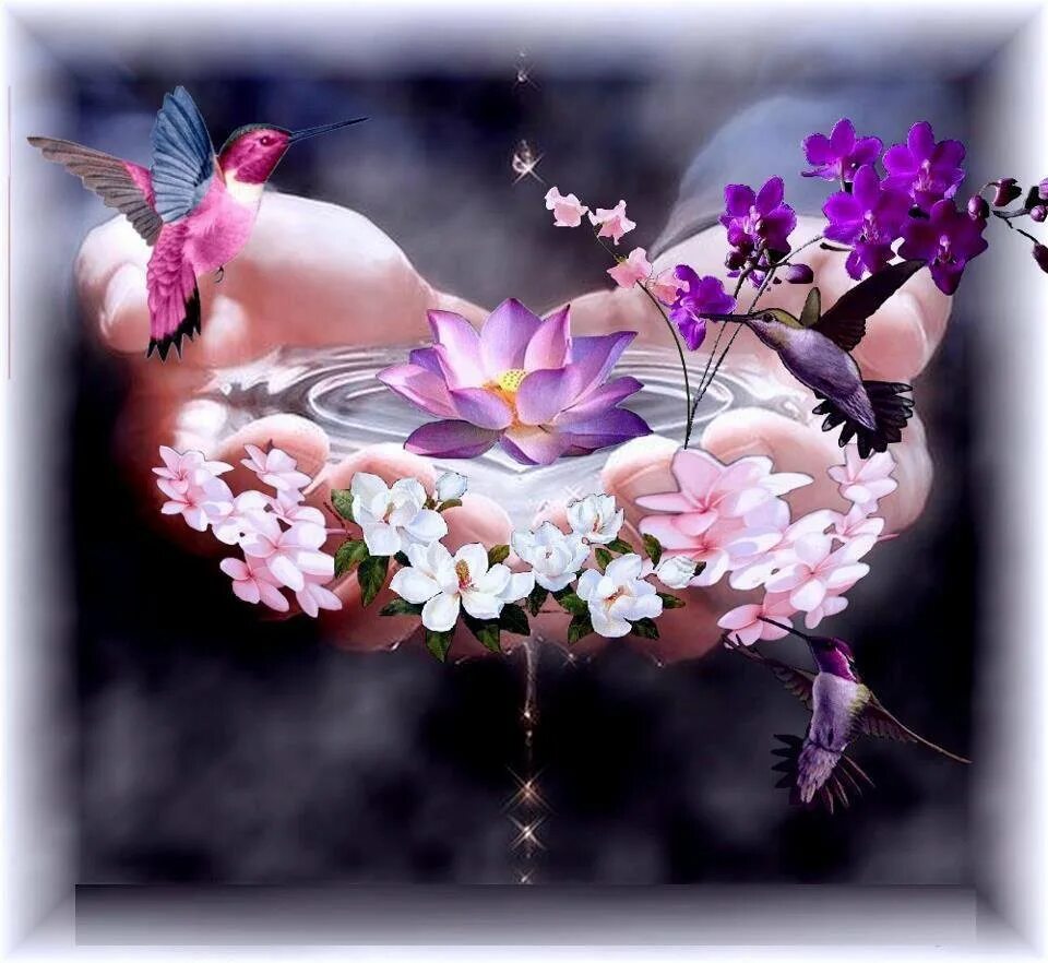 Аврора богиня жозефина уолл. Легкость женщины. Полет души. Желаю душевного спокойствия и гармонии. Любовь гармония счастье.