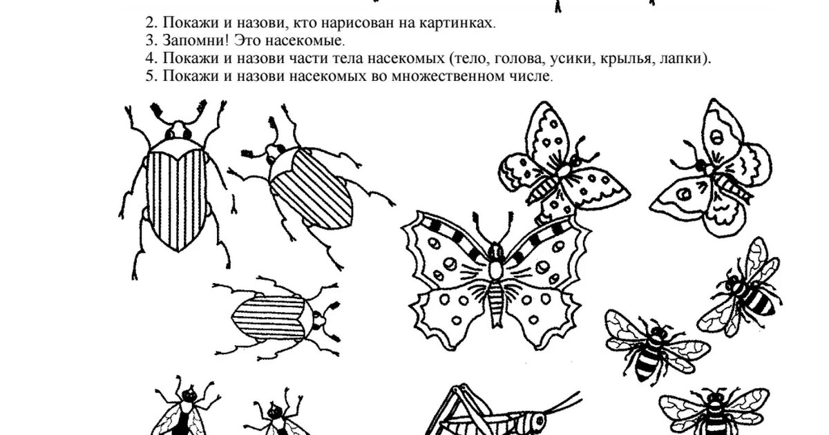 Насекомые задания для детей. Задания для детей про насекомых для дошкольников. Насекомые задания для дошколят. Насекомые задания для детей 6-7 лет.