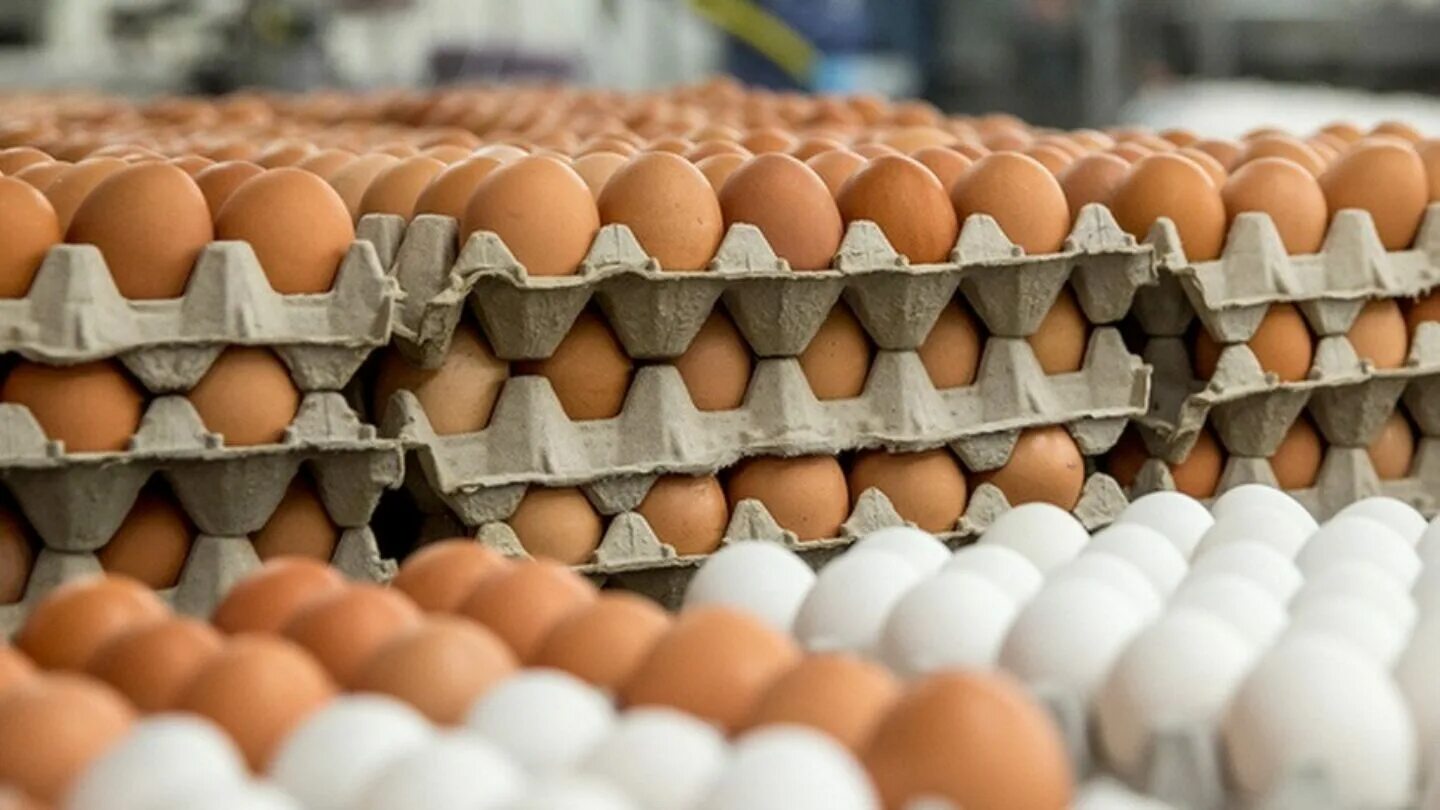 Eggs to order