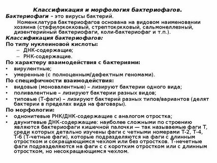 Принципы классификации бактериофагов