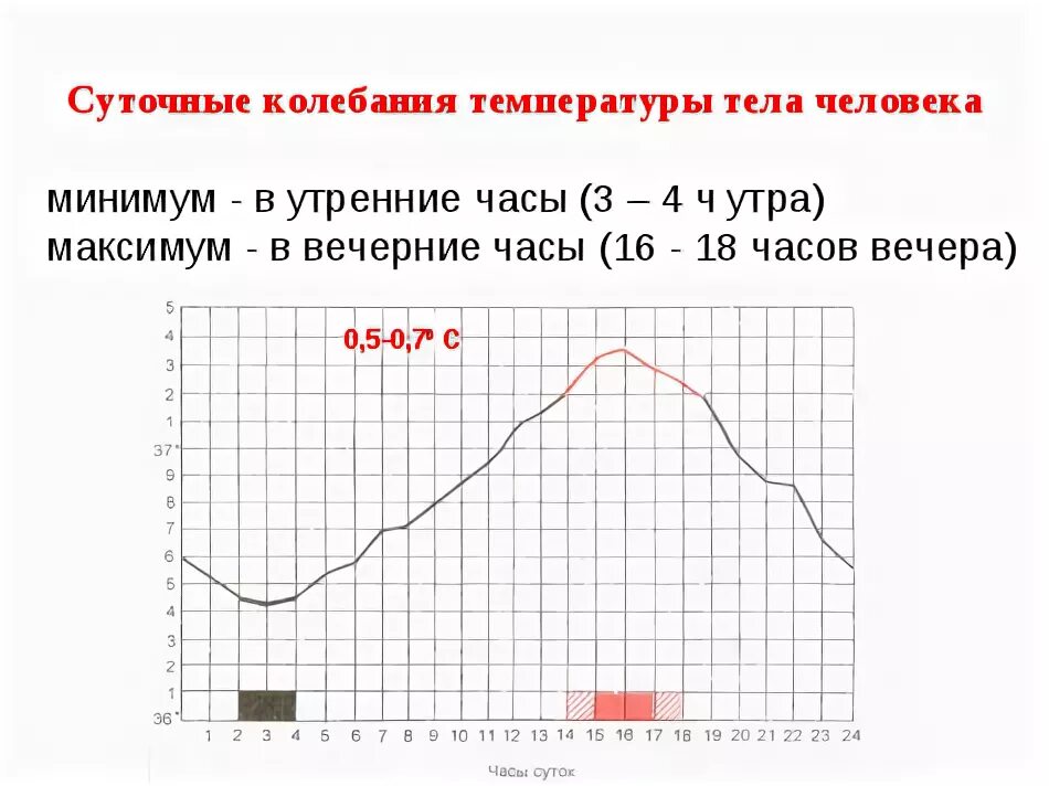 Температура в 6 утра. Суточные колебания температуры тела. Суточная динамика температуры тела человека. Суточные ритмы колебания температуры тела человека. Суточный график температуры тела.