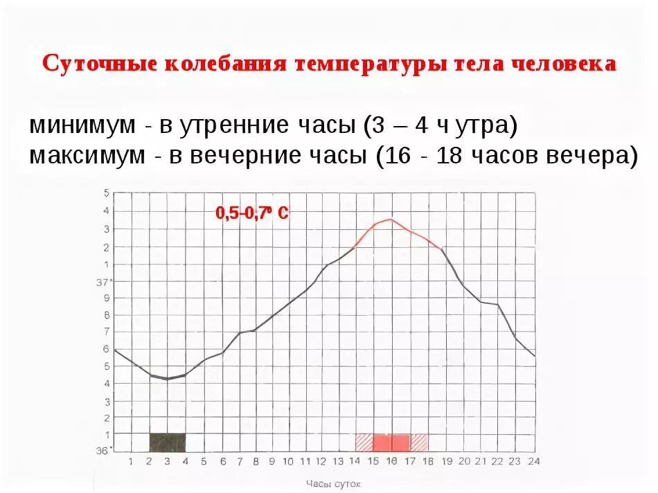 Графики температуры тела человека