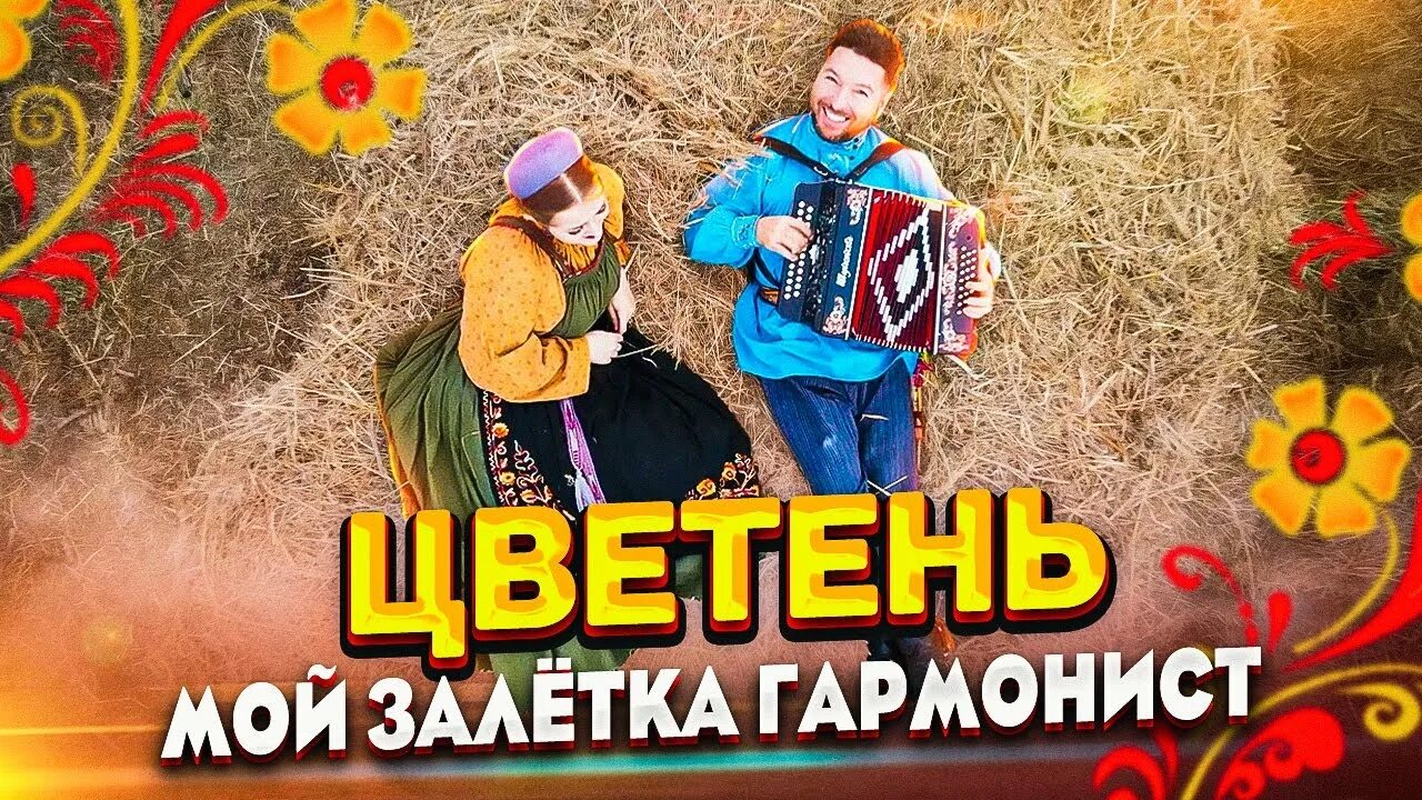 Песня мой залетка гармонист