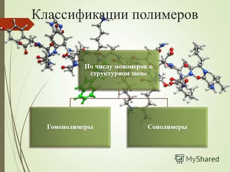 укажите мономер полимер структурное звено