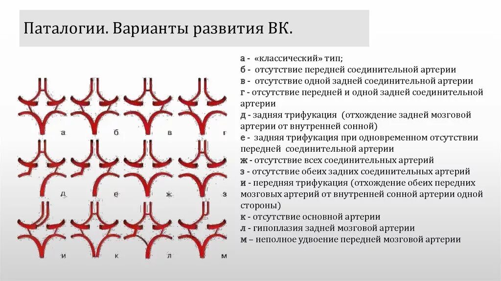 Правая задняя трифуркация. Варианты развития передней мозговой артерии. Виллизиев круг строение варианты развития. Что такое вариант развития Виллизиева круга в головном мозге. Аномалии развития Виллизиева круга мрт.