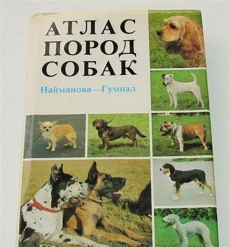 Атлас пород собак с фотографиями Атлас пород собак  частные объявления