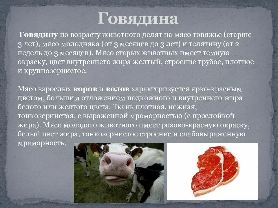 Как в нашей стране маркируется мясо животных. Характеристика мяса. классификация мяса животных. характеристика качества мяса. по виду убойных животных различают мясо.