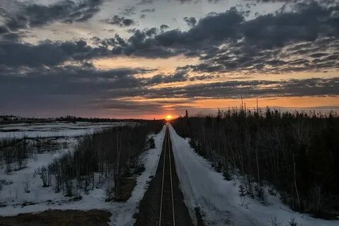 К северу едем голос