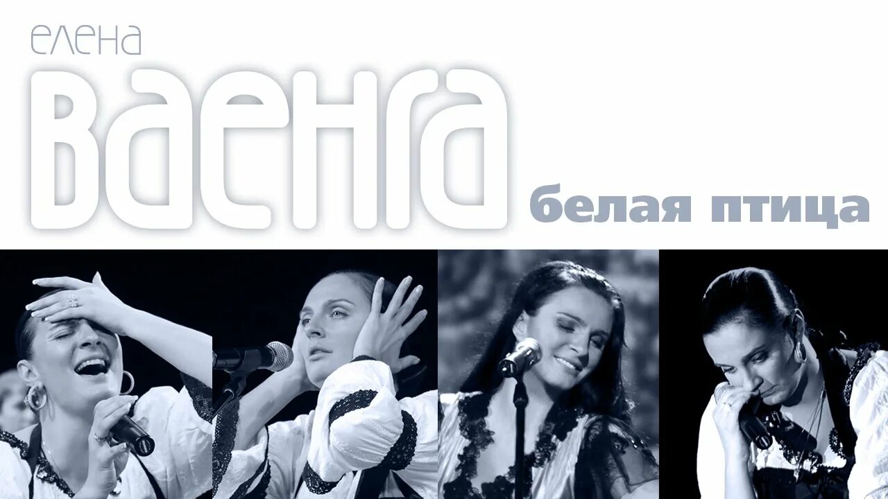 Ваенга песня белая птица слушать. Ваенга песня белая птица слушать. Концерт елены ваенги в кремле. Ленточка ваенга слушать. Ваенга песня белая птица слушать.