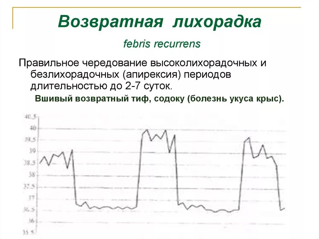 Возвратная периодическая лихорадка. Возвратный Тип лихорадки. Возвратная лихорадка заболевания. Заболевания при возвратной лихорадки.