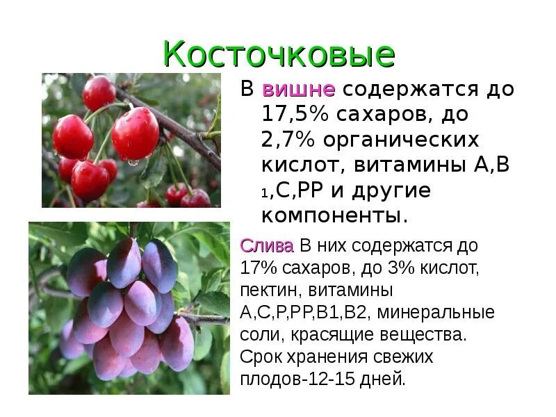 Вишня содержит 89 влаги