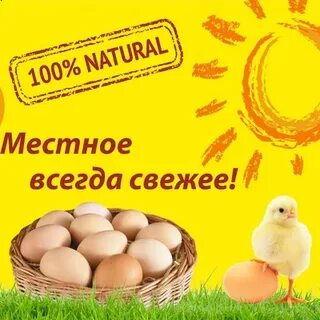 График работы птицефабрики