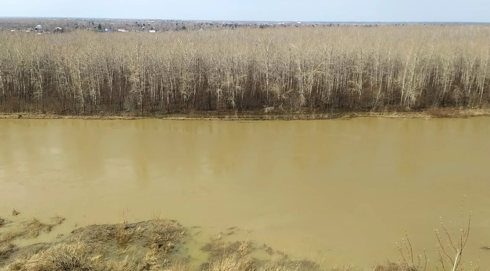 Сергеевское водохранилище казахстан 2024. Чардаринское водохранилище. Сергеевское водохранилище Казахстан. Водохранилище в Казахстане на Ишиме. Сергеевское водохранилище Казахстан рыбалка.