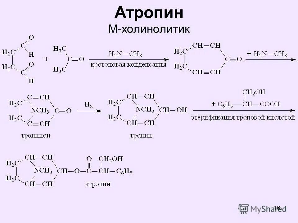 Атропин относится к группе