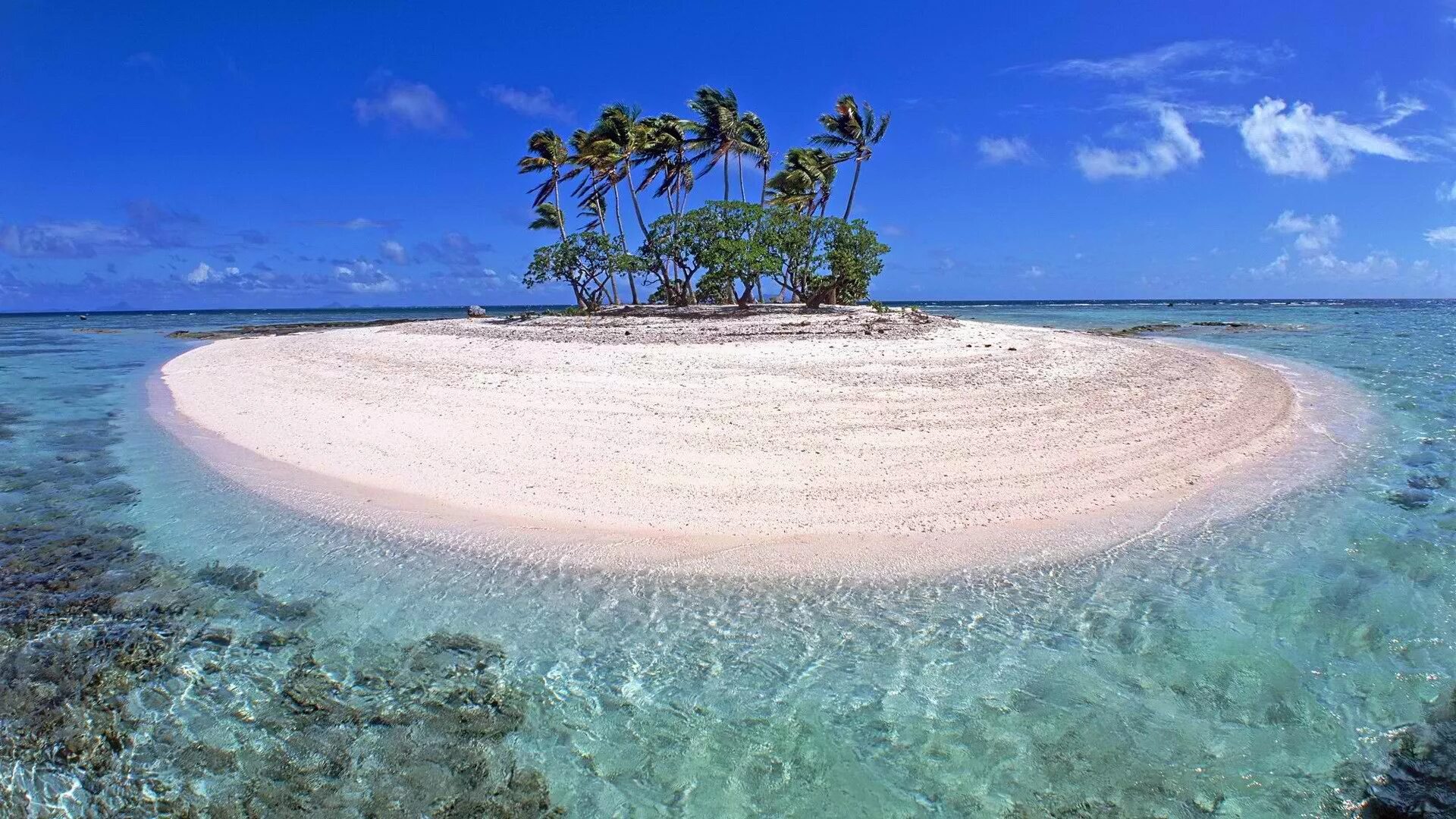Острова и море. Тихий остров. Saba national marine park карибское море. Бали загадочность острова. Тихий островок.