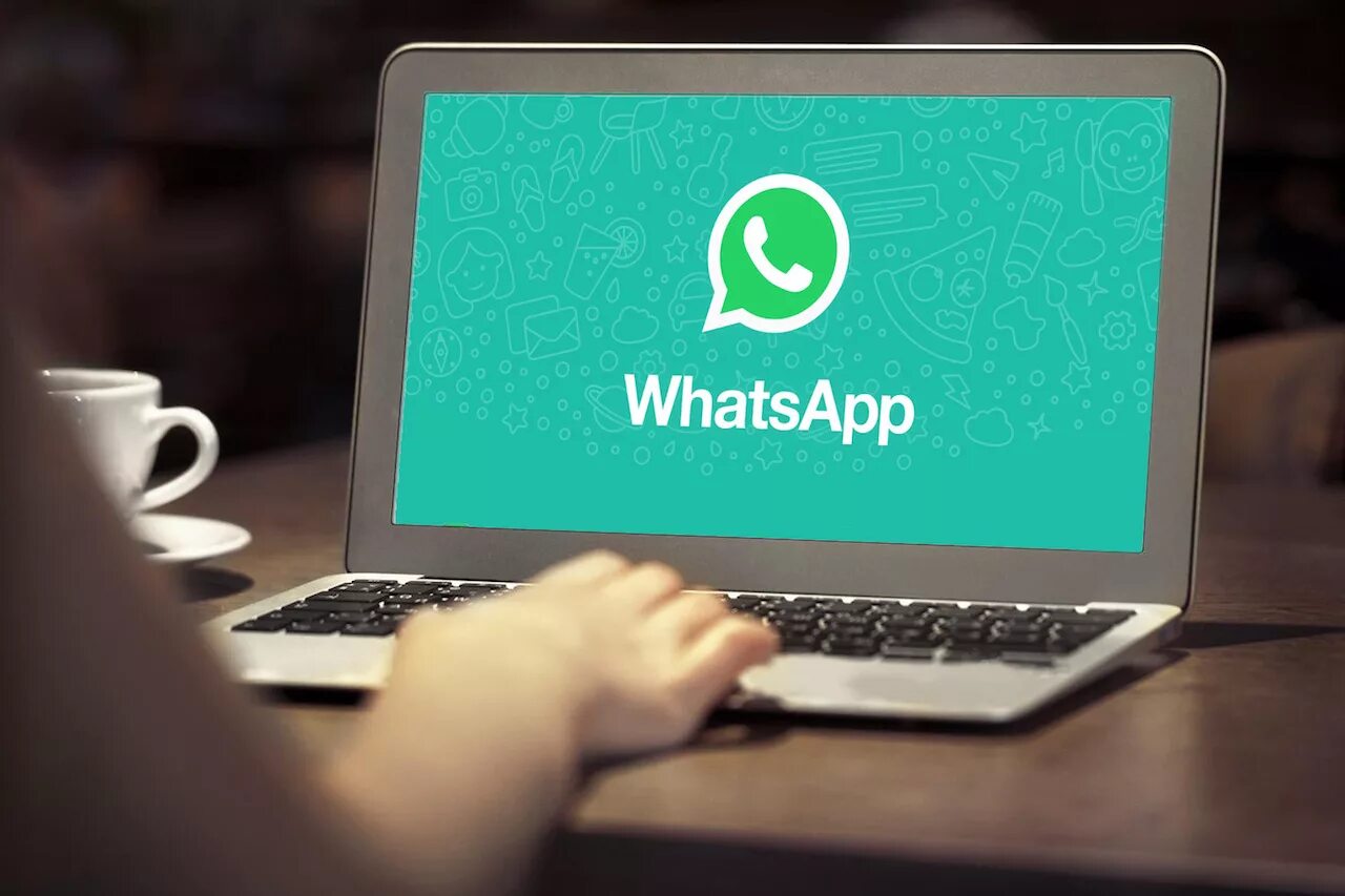 Уотс апп веб. Whatsapp. вацап веб. whast app. wta sap.