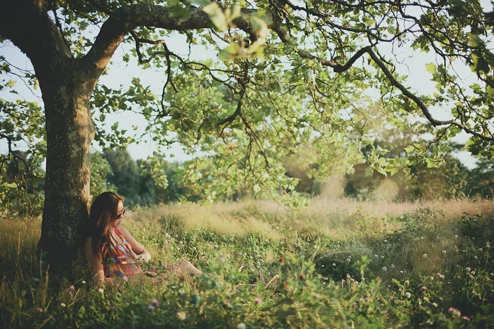 Beneath the trees читать. За рекой, в тени деревьев. girl under tree. sitting under the tree. girl sitting under tree.