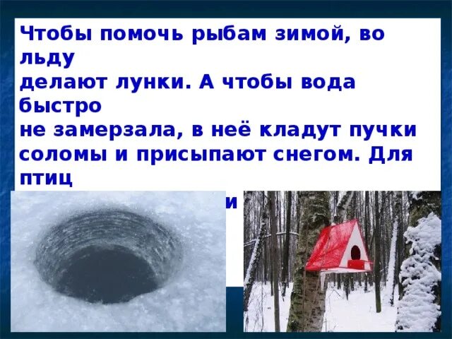 Как помогать животным зимой 2 класс литература. Как помогать животным зимой 2 класс литература