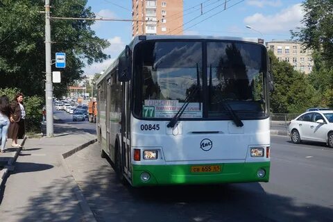 655 автобус спб