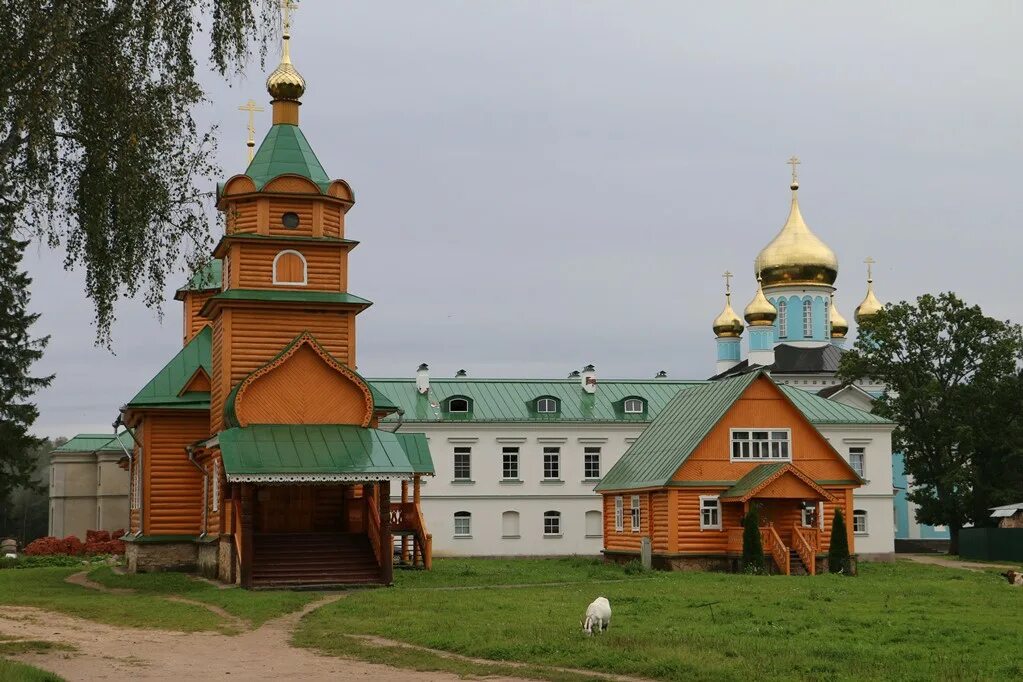 Святые псковской области. Никандрова Свято-Благовещенская пустынь. Никандрова пустынь Псков. Свято Благовещенский монастырь Никандрова пустынь. Никандровский монастырь Псковская область.