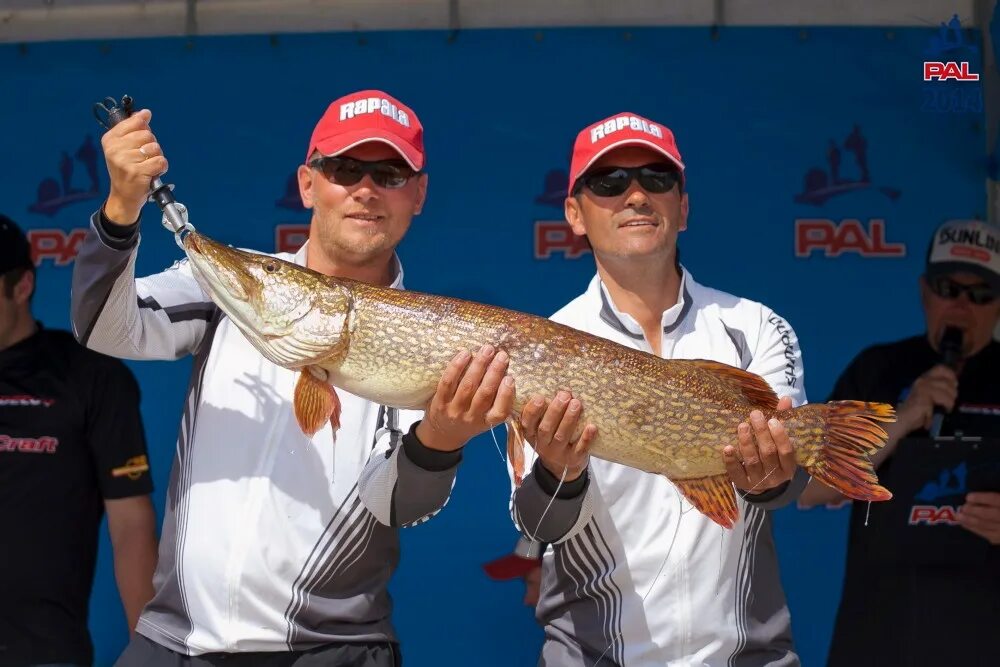 Pal рыбалка. Про англерс лиг. Лига профионал ных рыболов. Титенко Pro Anglers League. Пал рыболовный