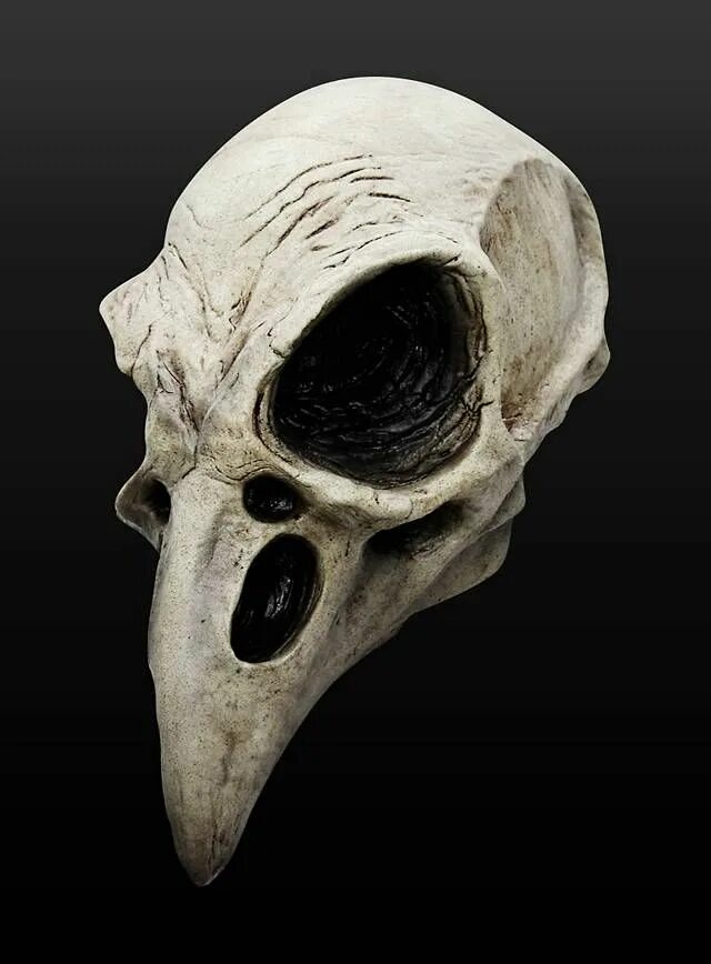Череп ворона. Raven skull. Вороний череп. Маска череп вороны. Вороний череп.