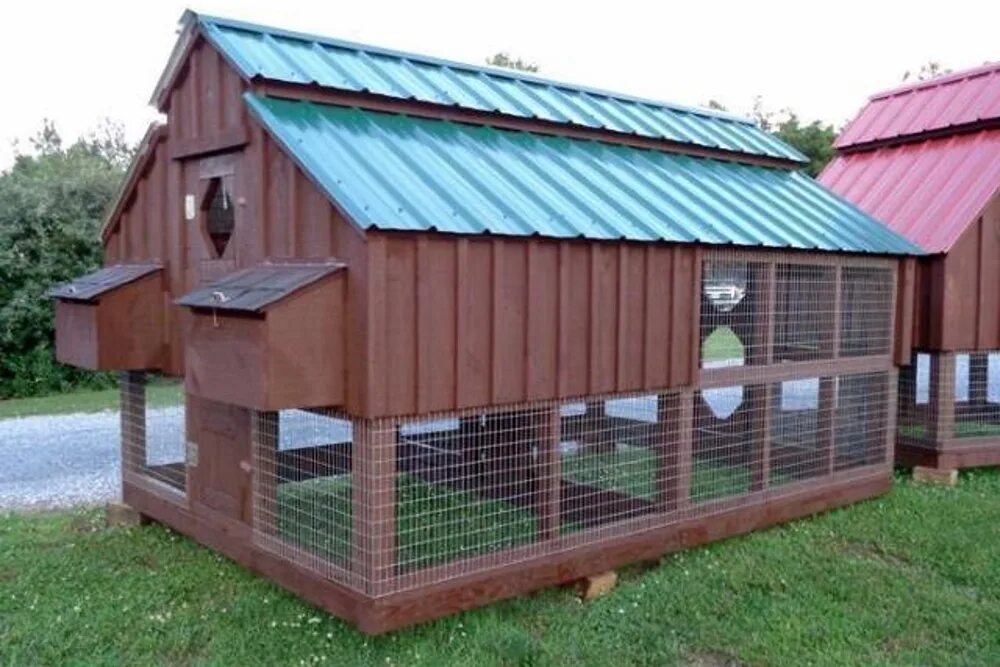 Курятники додонова. Куриный домик. Курятник додонова. Курятник на 50 кур несушек. Курятник додонова.