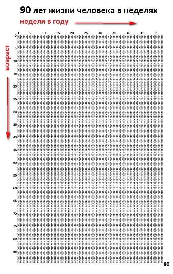 Таблица жизни в неделях 90 лет. Таблица жизни в неделях 100 лет. Таблица жизни в неделях 80 лет. Календарь жизни по неделям.