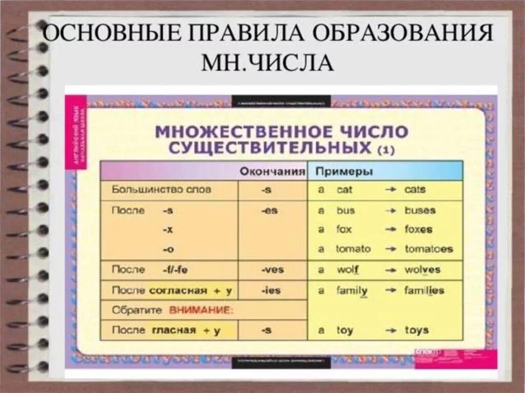 Часы множественное английский. Множественное число имени существительного в английском языке. Окончания существительных во множественном числе в английском языке. Мн число существительных в английском языке правило. Правила формирования множественного числа в английском.