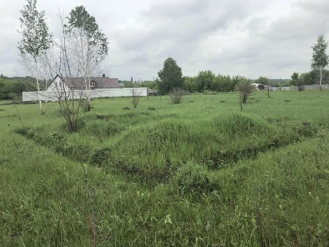 Девица участки. Девица участки. Стоимость 1 сотки земли в воронежской области рамонского района. Село девица острогожский район воронежская область школа. Летний берег семилукский район.