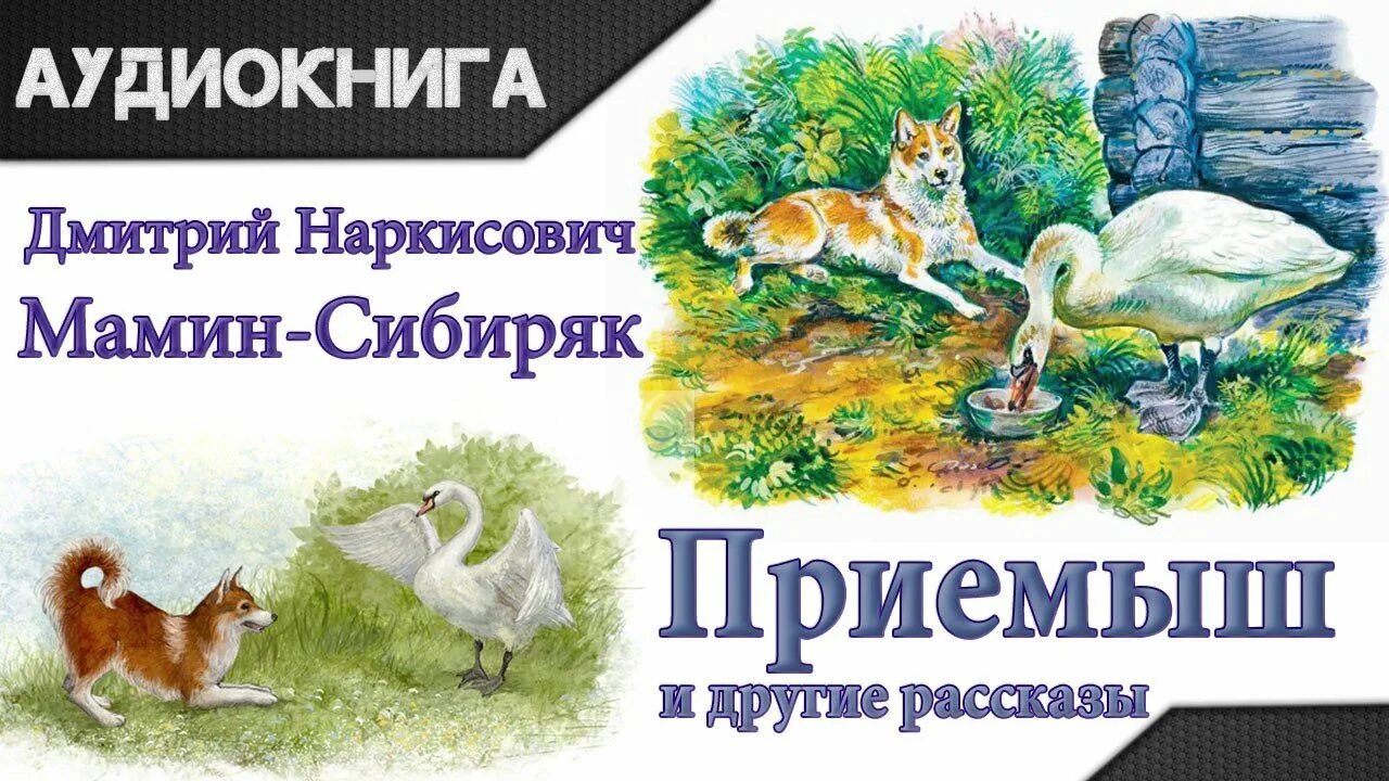 Читать сказку приемыш. Д н мамин сибиряк приемыш. дневник внеклассного чтения мамин сибиряк приемыш. приёмыш мамин сибиряк.
