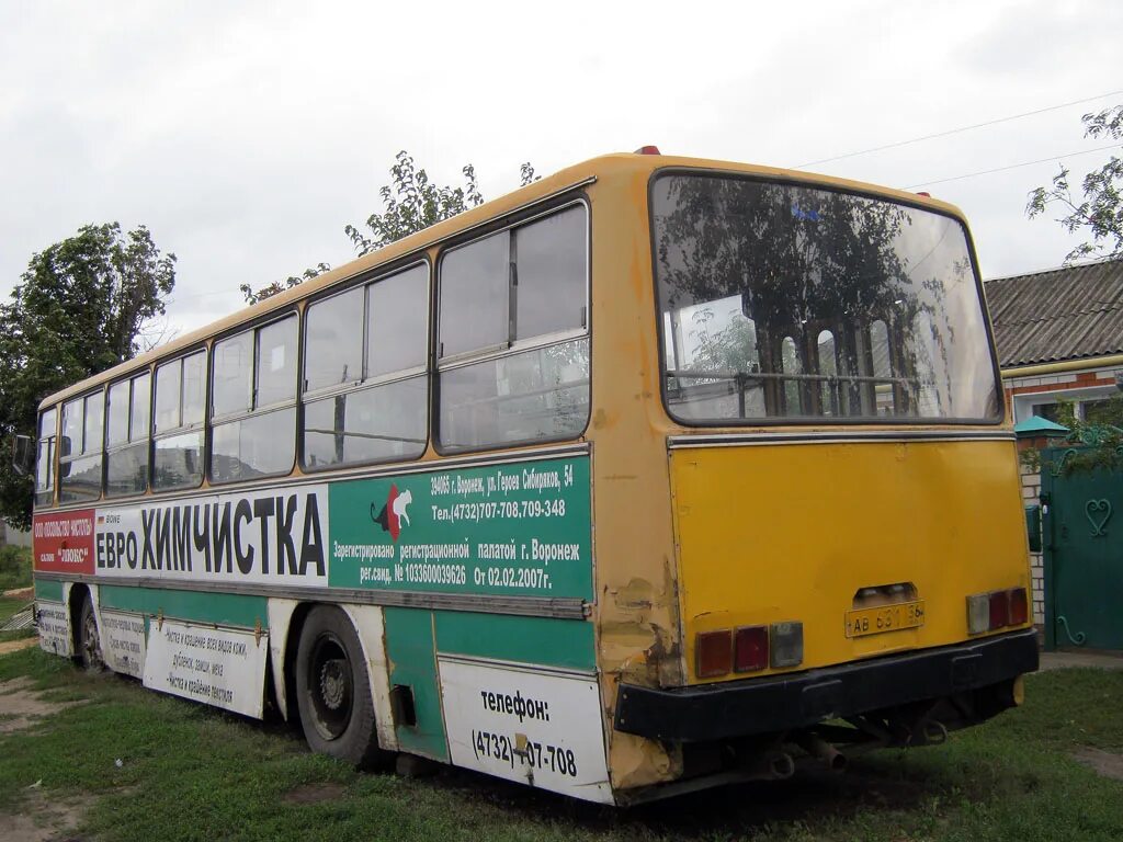 Икарус Воронеж 10б. Автобус 27 Икарус Воронеж. Воронежский автобус Икарус. Икарус Воронеж Поворино.