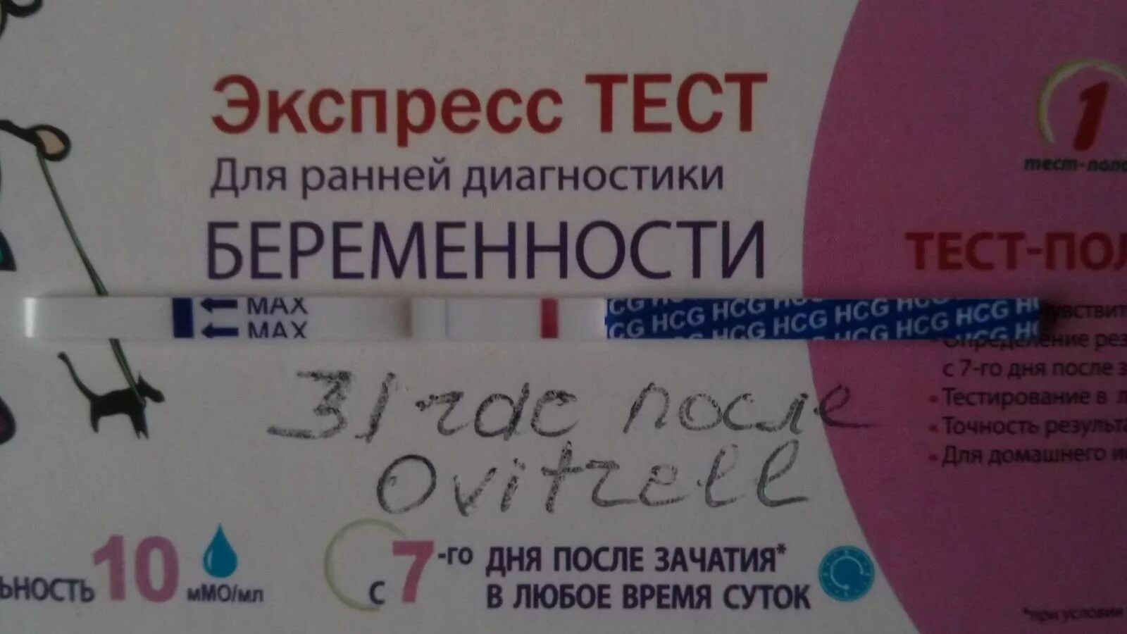 Как делать тест на беременность на ранних. Тест на беременность. Тесты на беременность на ранних сроках. Результаты теста на беременность. Тест на беременность после полового-акта.