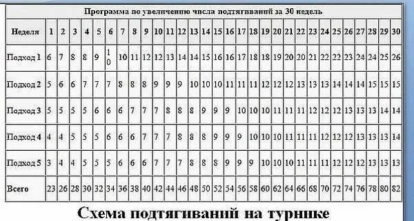 Как увеличить число подтягиваний. Схема подтягиваний на турнике для начинающих. таблица подтягиваний на турнике для начинающих. схема подтягиваний на турнике с нуля. схема увеличения подтягиваний.