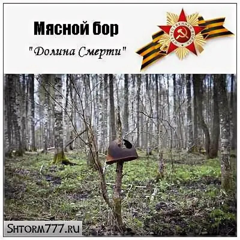 Мясной бор текст. Мясной бор текст