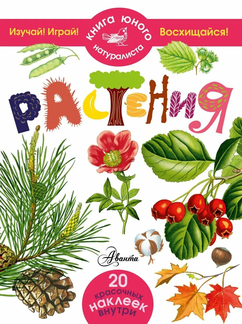 Читать книгу о растениях. Книга про растения. книги о растениях для детей. детская книга про цветы. детская книга про растения.
