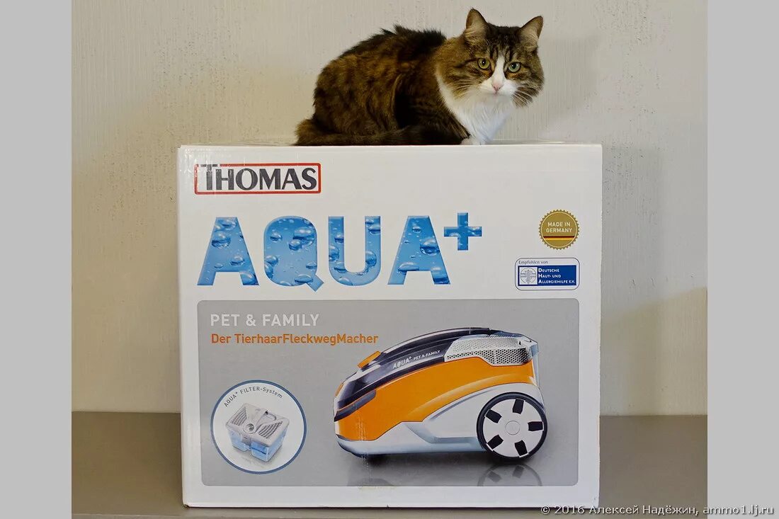 Thomas pet family отзывы. Пылесос Thomas Aqua Pet & Family. Моющий пылесос Thomas Pet Family Plus. Пылесос Thomas Aqua Pet and Family плюс.